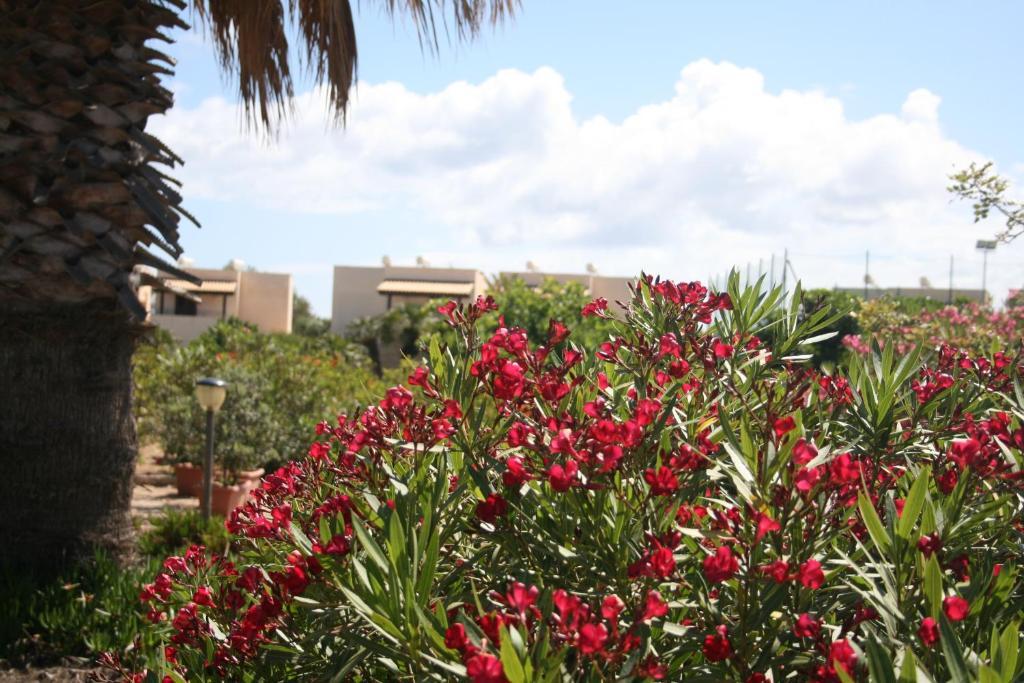 Residence Punta Longa Favignana Ngoại thất bức ảnh